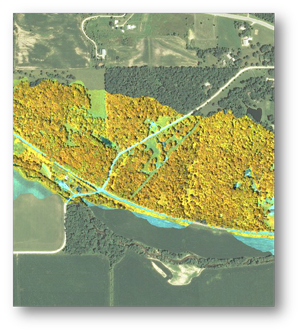 Hyperspectral imaging