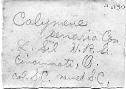 Calvin's Silurian trilobite label (From the UI repository)