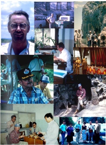 Collage of Brain Glenister