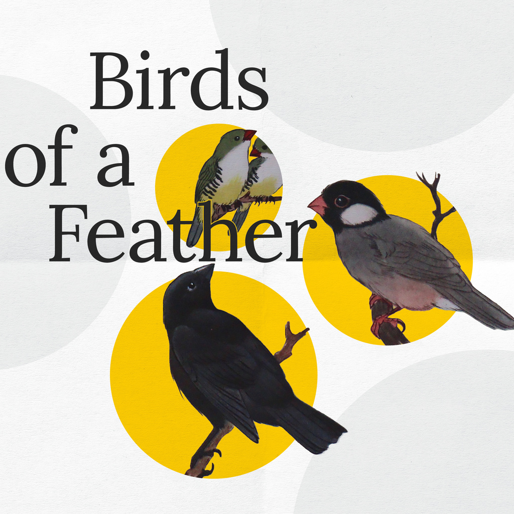 Iowa Bibliophiles: Birds of a Feather  promotional image