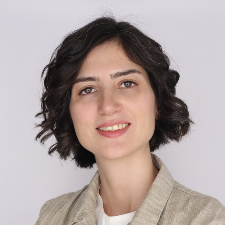 Maryam Torkashvand UI SEES Grad student