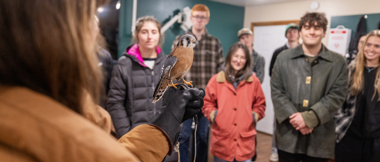 students at the Raptor Center with falcon