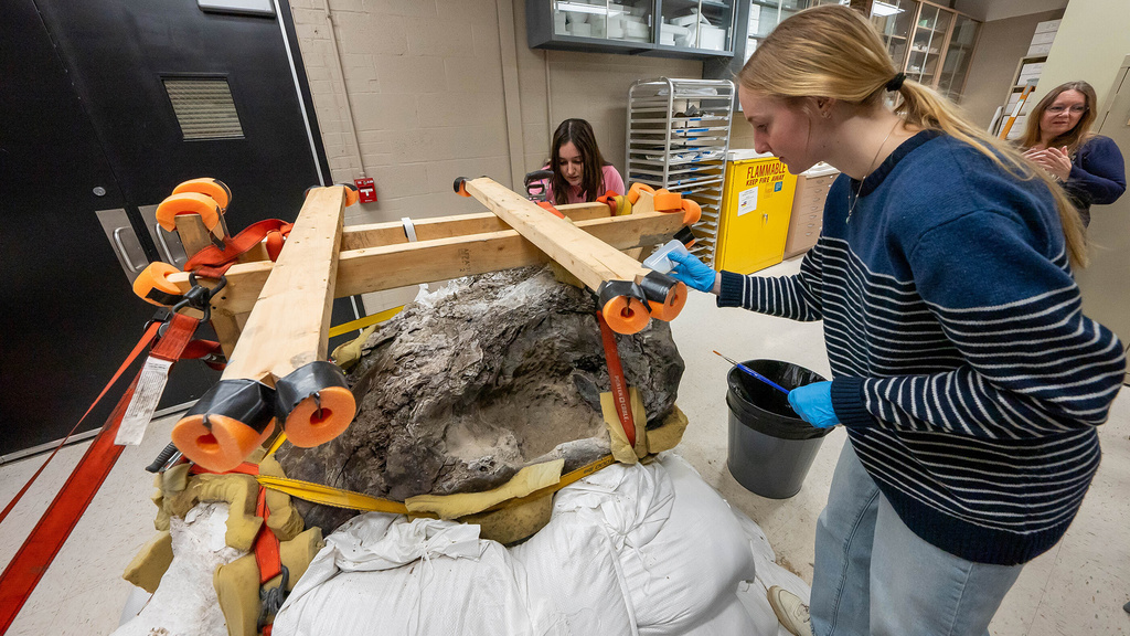 UI students Maya Monk (front) and Mary Haag work on cleaning mastodon bones