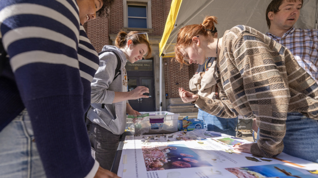 Students engaged during earth week